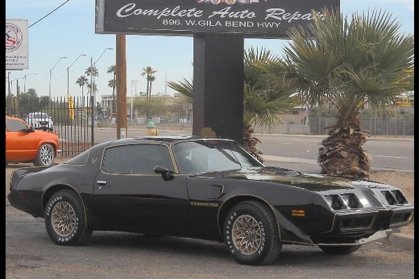 Sinner Trans Am